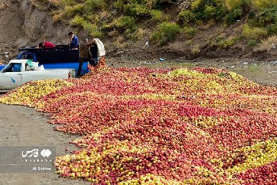 ایران پرس نیوز