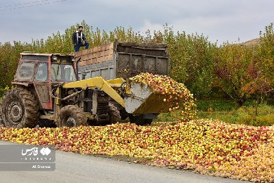 ایران پرس نیوز