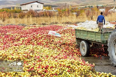 ایران پرس نیوز